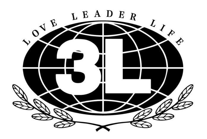 3L