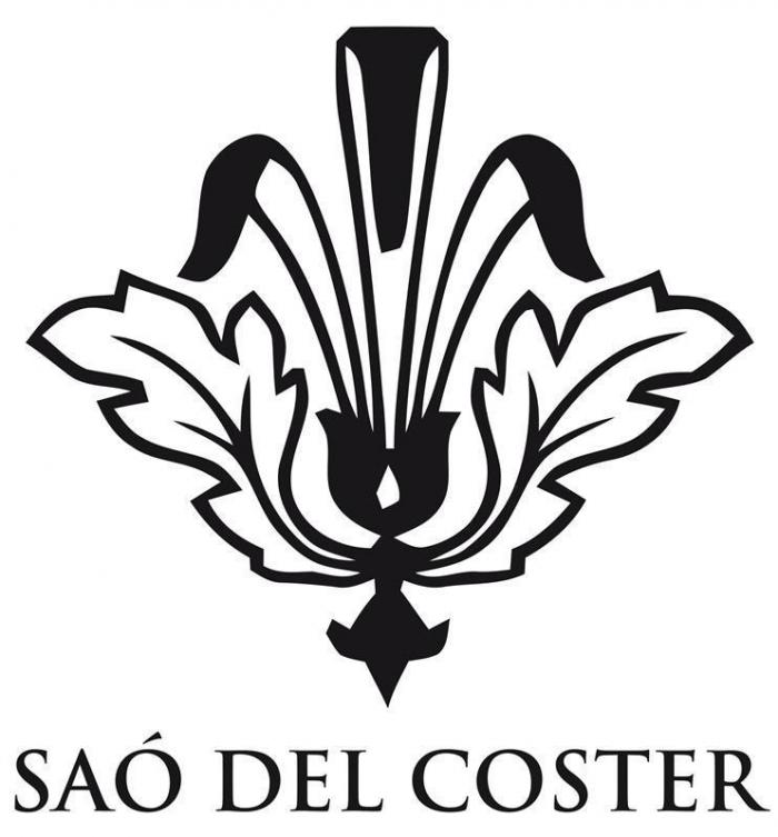 SAÓ DEL COSTER