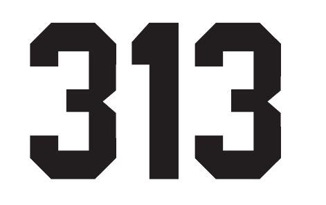 313