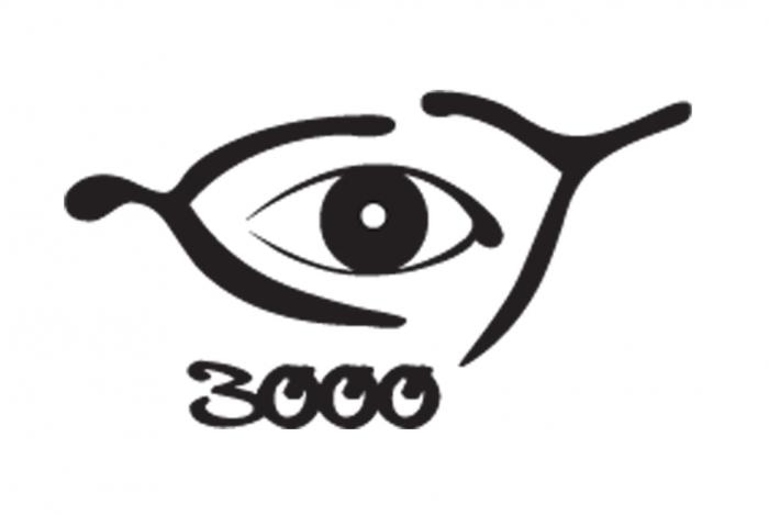 3000