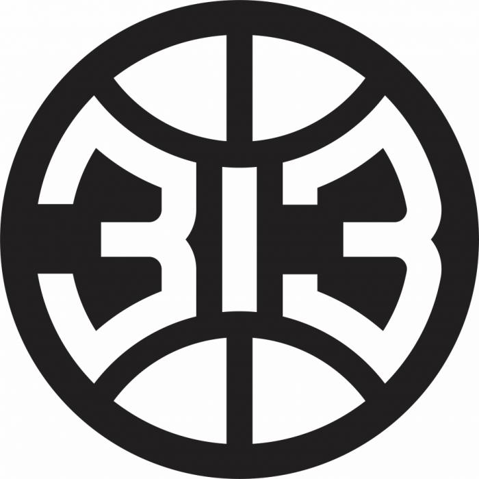 313