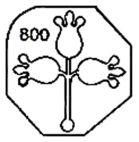 800