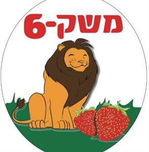 משק -6