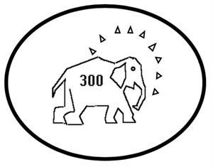 300