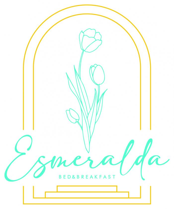 Il marchio vuole rappresentare la frase ESMERALDA BED BREAKFAST . Il disegno è molto articolato e presenta diversi elementi caratterizzanti. Il primo