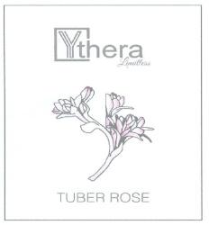 Ythera TUBER ROSE