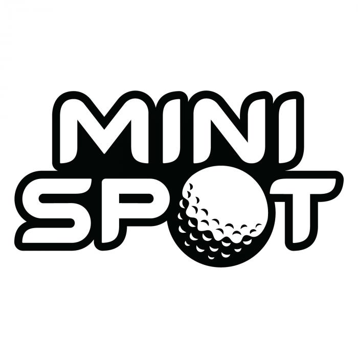 MINI SPOT