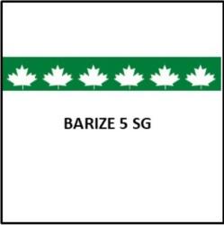 BARIZE 5 SG