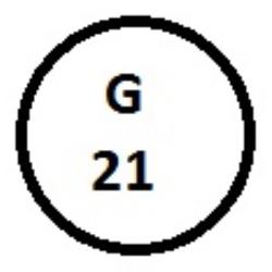 G 21