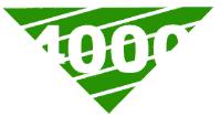 4000