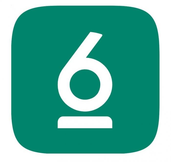 6