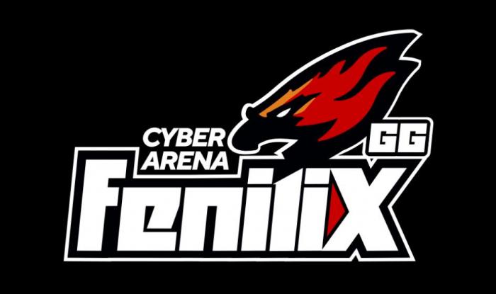 FeniliX CYBER ARENA GG