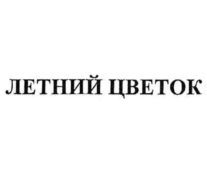 ЛЕТНИЙ ЦВЕТОК