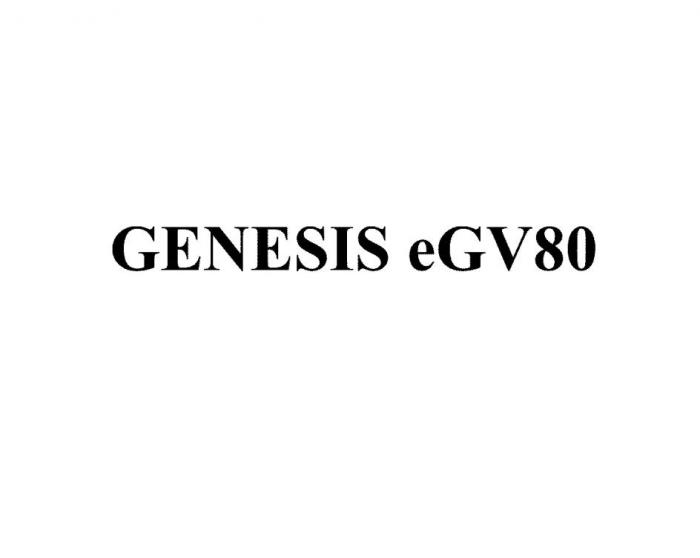 GENESIS eGV80