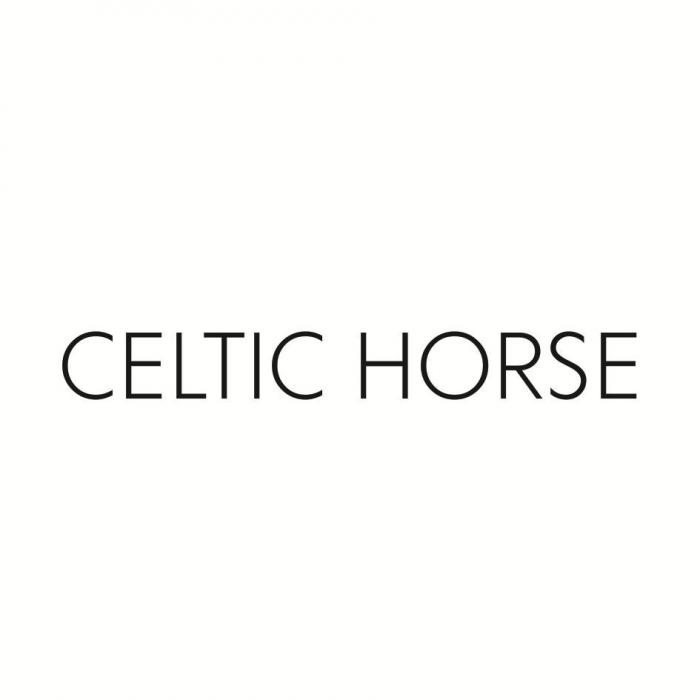 CELTIC HORSE