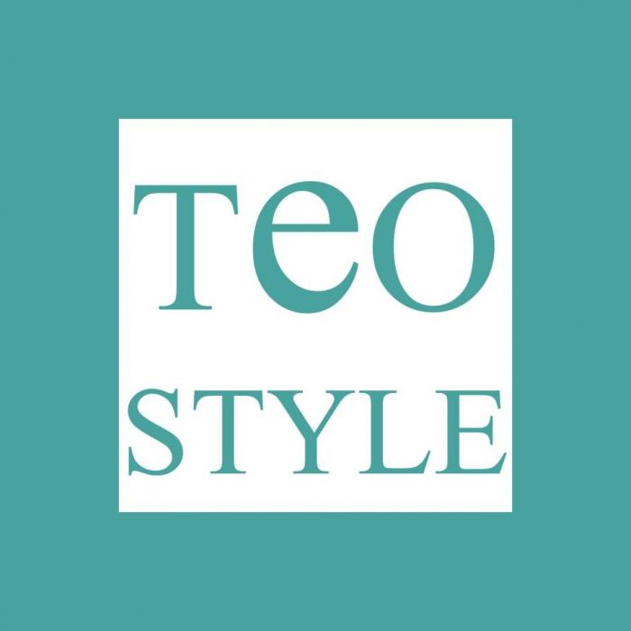 TEO STYLE