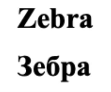 Zebra / Зебра