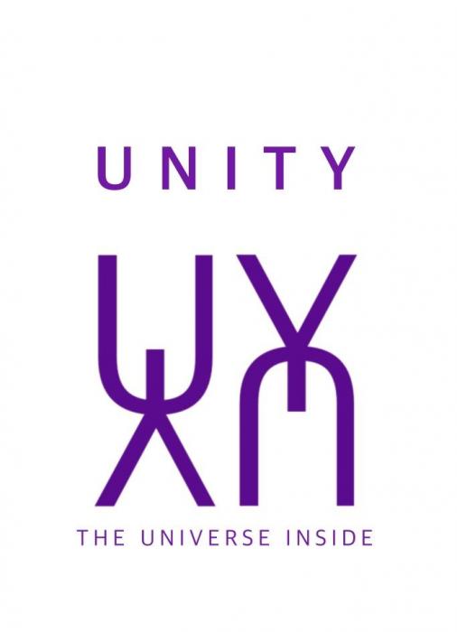 Словесные элементы "UNITY THE UNIVERSE INSIDE".