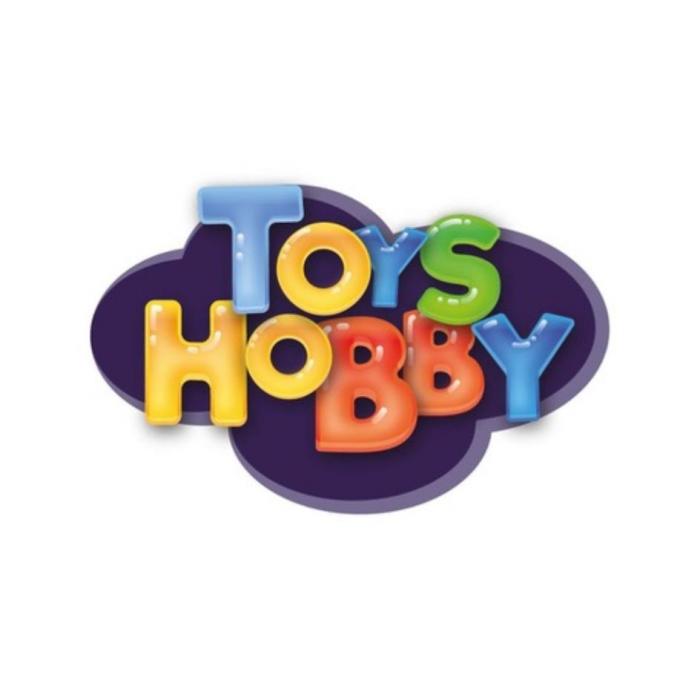 TOYS HOBBY