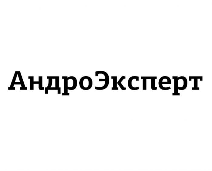 Словесное обозначение "АндроЭксперт" выполненное в кириллице не стандартным шрифтом с засечками.