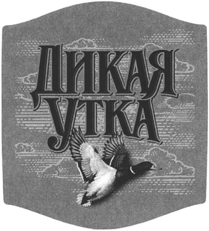 ДИКАЯ УТКА