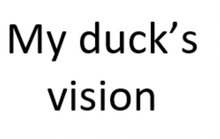 My duck's vision