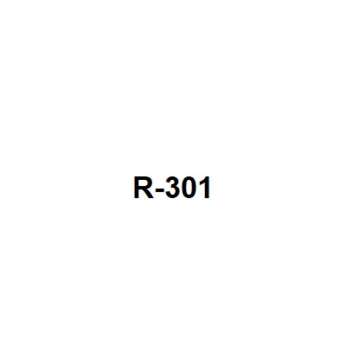 R-301