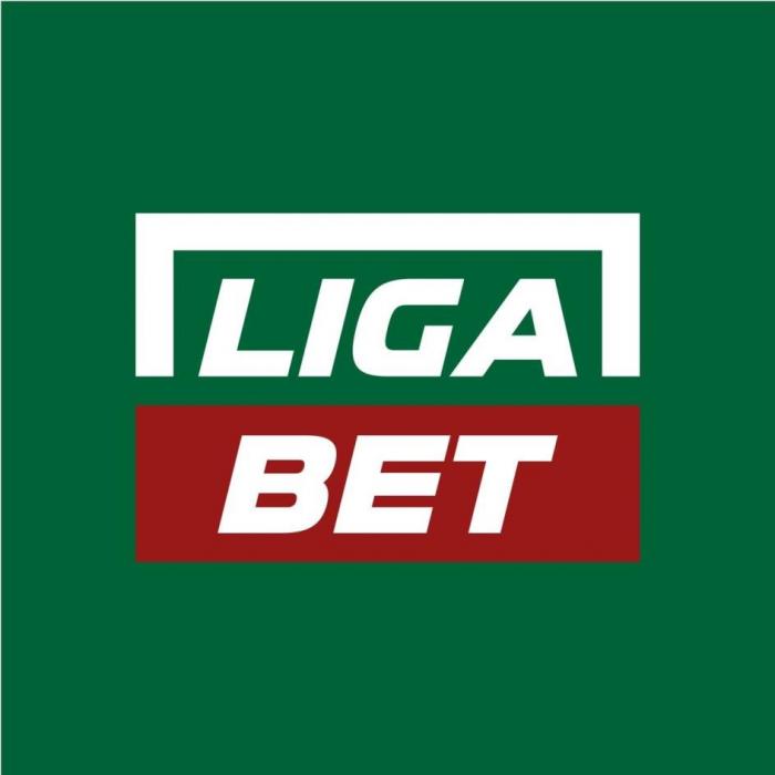 Liga Bet