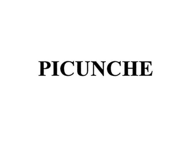 PICUNCHE