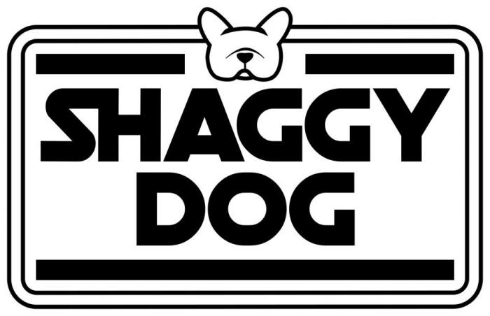 SHAGGY DOG