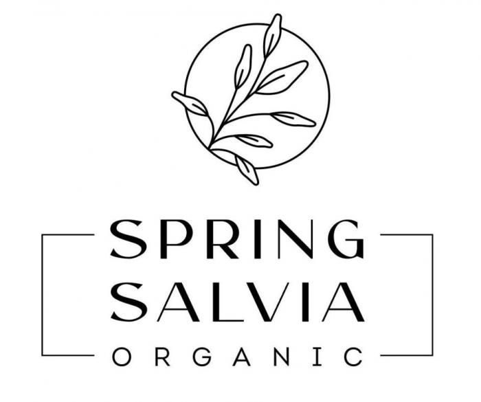 SPRING SALVIA ORGANIC