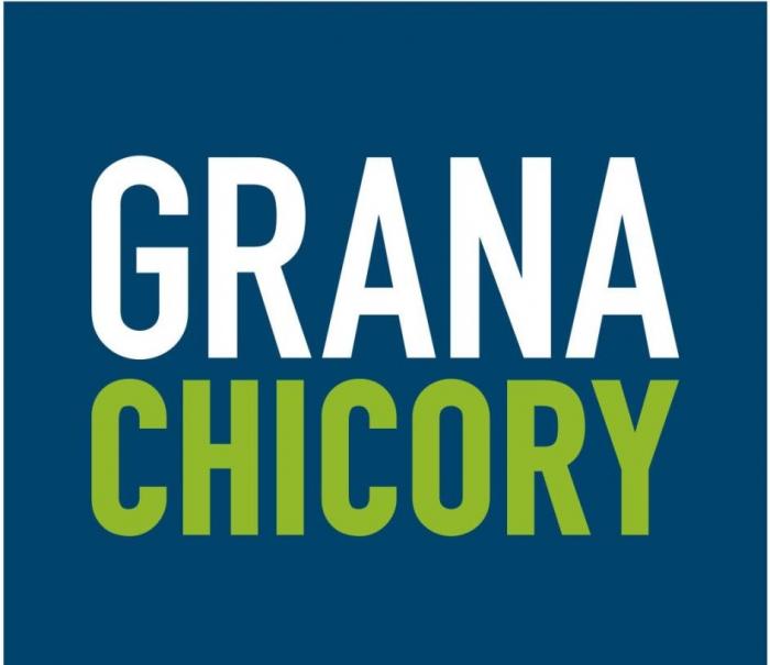 GRANA CHICORY