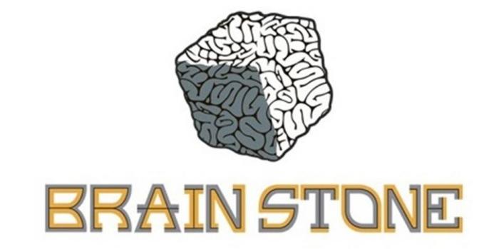 словесный элемент " BRAIN STONE" написан оригинальным шрифтом заглавными буквами латиницы. В переводе " мозговой камень или камень в мозге". Транслитерация " брейн стоун". Стилизованное изображение мозгового кубика расположено над словесным элементом.