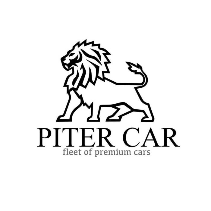 PITER CAR fleet of premium cars