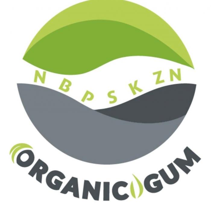 NBPSKZN, ORGANIC GUM