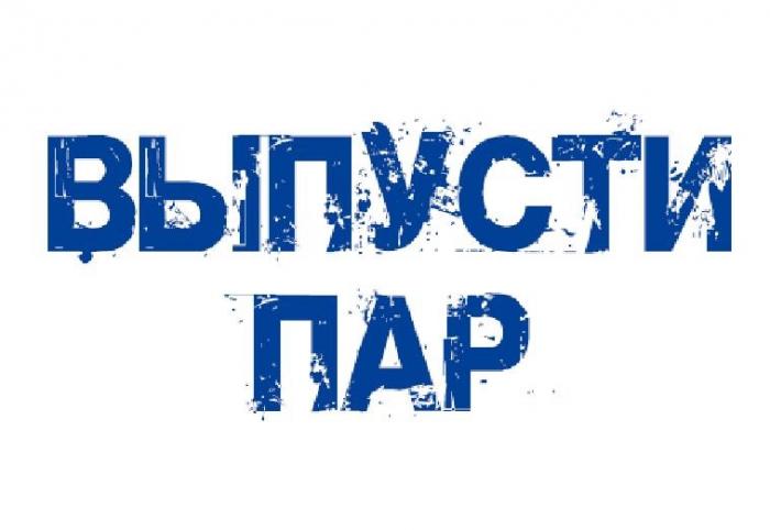 ВЫПУСТИ ПАР