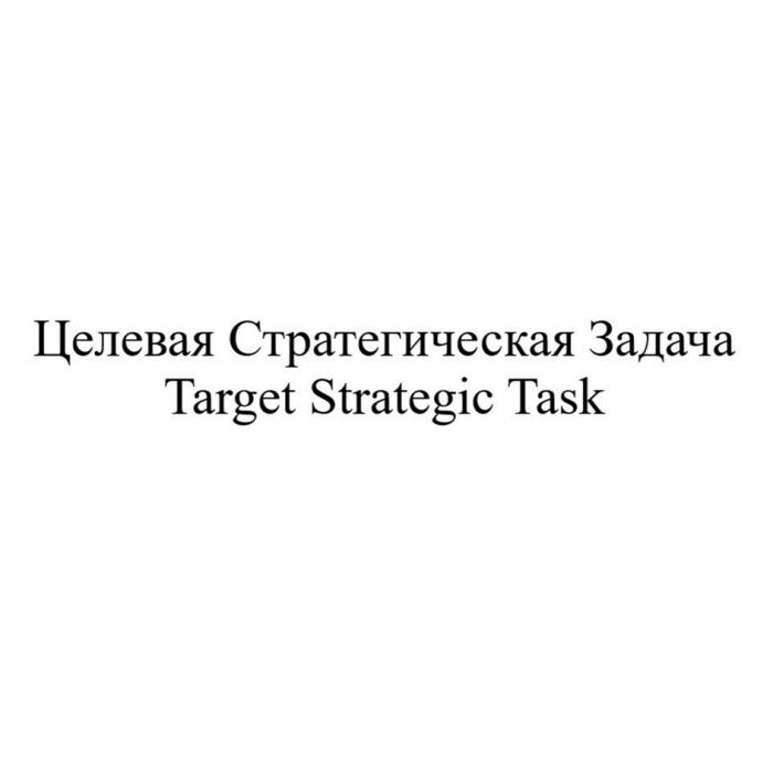 Целевая Стратегическая Задача Target Strategic Task