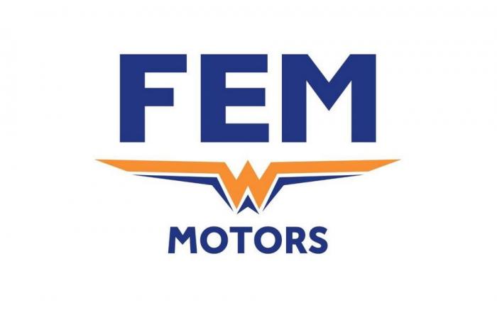 FEM, MOTORS