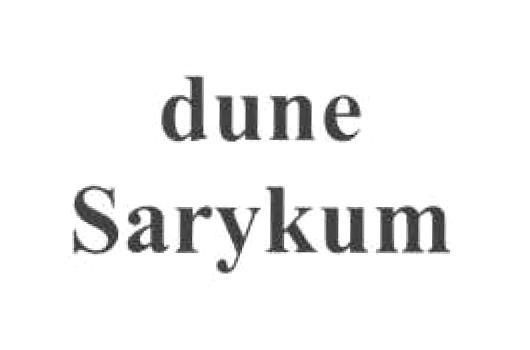 DUNE SARYKUM