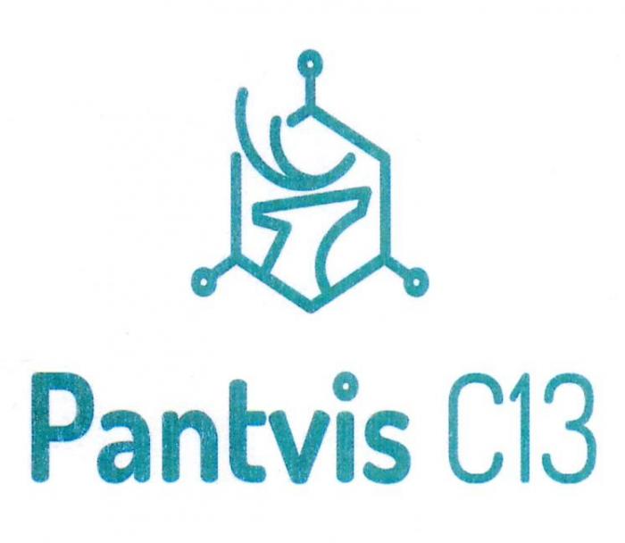 PANTVIS C13