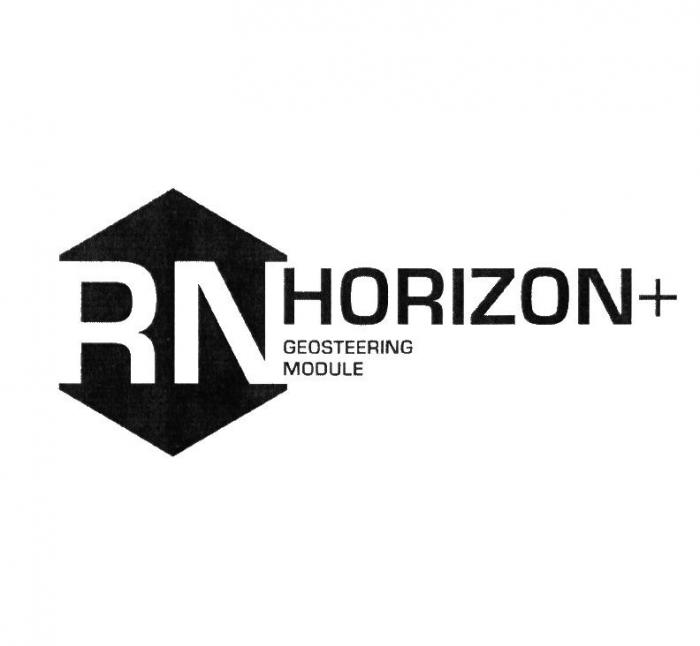RN HORIZON+ GEOSTEERING MODULE