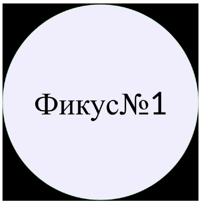 ФИКУС№1