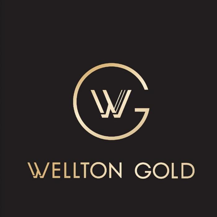 WELLTON GOLD