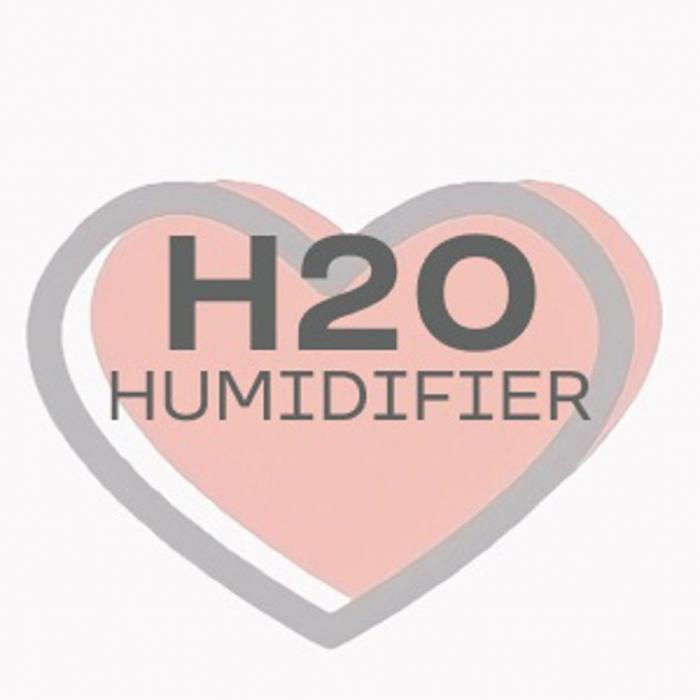 H2O HUMIDIFIER