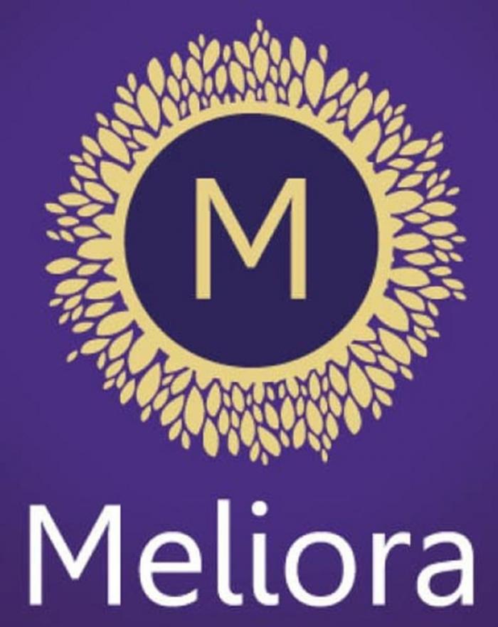 M Meliora Always Something Better