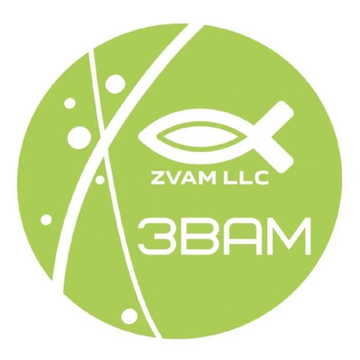 ЗВАМ ZVAM LLC