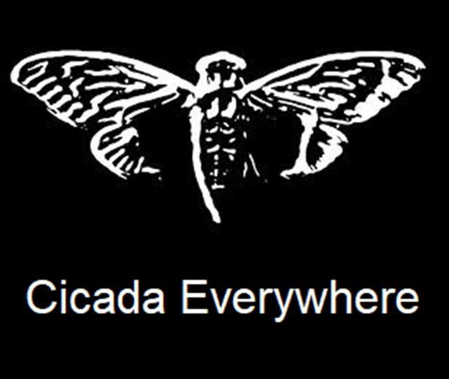 Cicada Everywhere