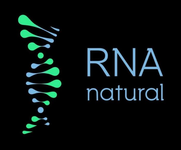 заявлено словесное обозначение "RNA natural