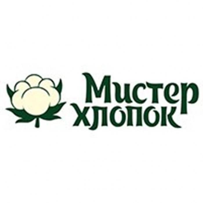 Мистер хлопок