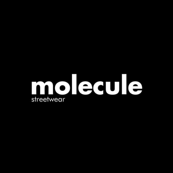 molecule streetwear"